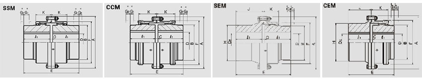 SSM CCM SEM CEM 이미지